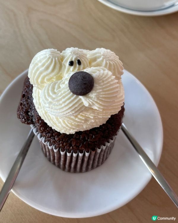 🇰🇷首爾東大門超治癒甜品Cafe‼️超可愛狗狗造型Muffin🧁