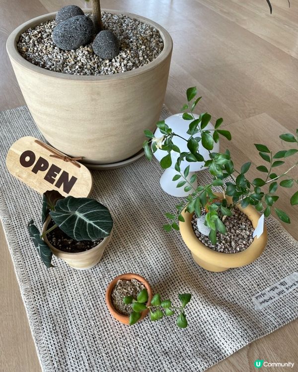 🇰🇷首爾東大門超治癒甜品Cafe‼️超可愛狗狗造型Muffin🧁