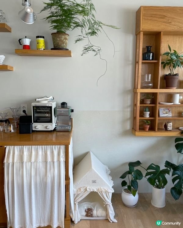 🇰🇷首爾東大門超治癒甜品Cafe‼️超可愛狗狗造型Muffin🧁