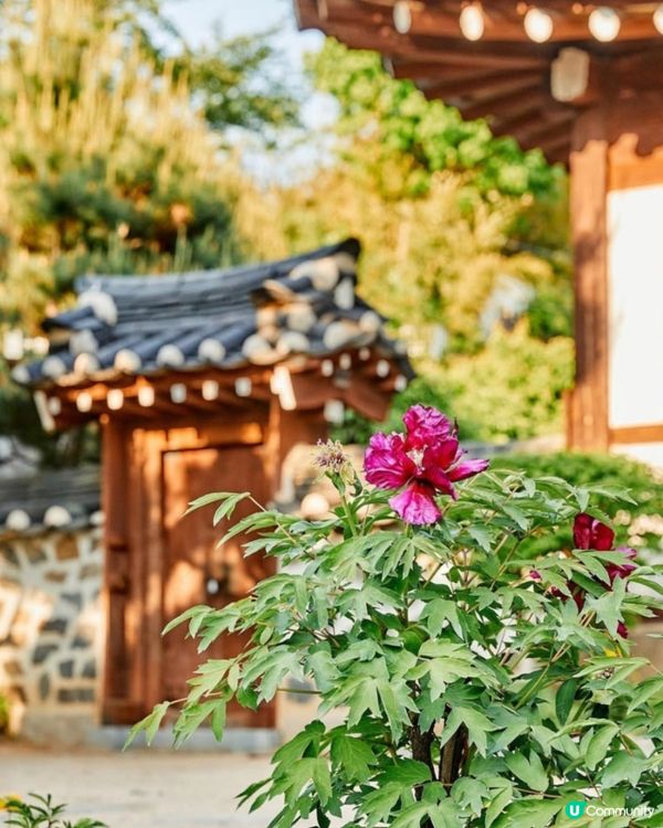 🇰🇷首爾北村靜謐嘅韓屋咖啡店☕️悠閒hea 住嘆下午茶👏🏻💯
