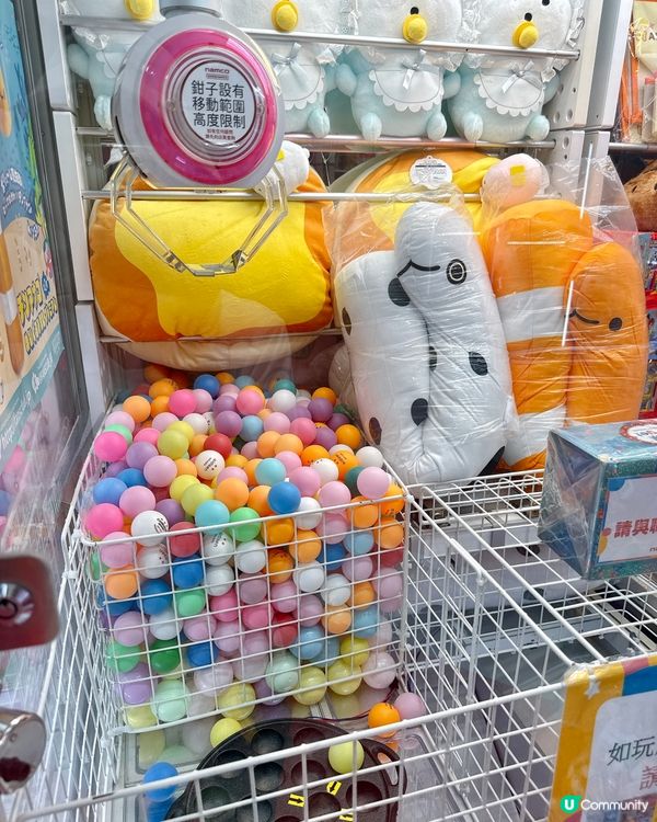 暑假香港遊！夾公仔掟彩虹 🥳 玩到癲！