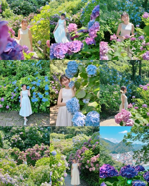 下田公園 繡球花祭