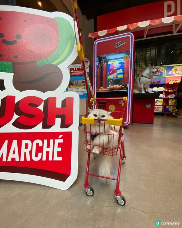 1. 帶埋毛孩去紗廠放電！🐶🛍️ 涼冷氣嘆世界！