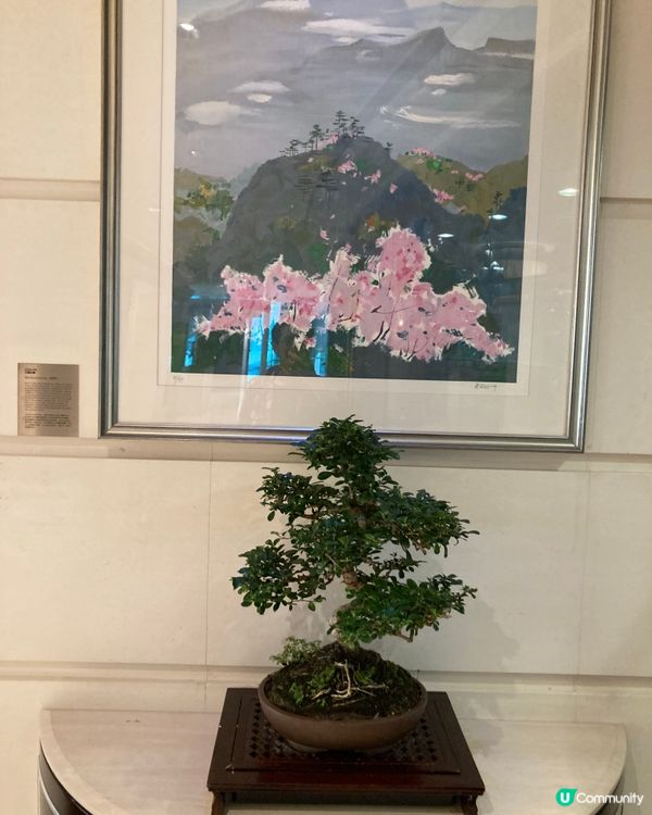 旺角五星級酒店的藝術之旅