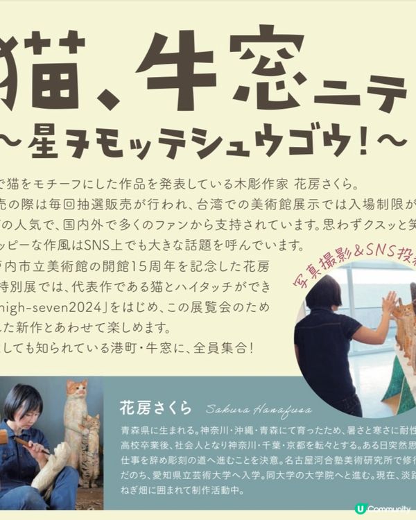 🐈人氣貓貓木雕展🐈‍⬛