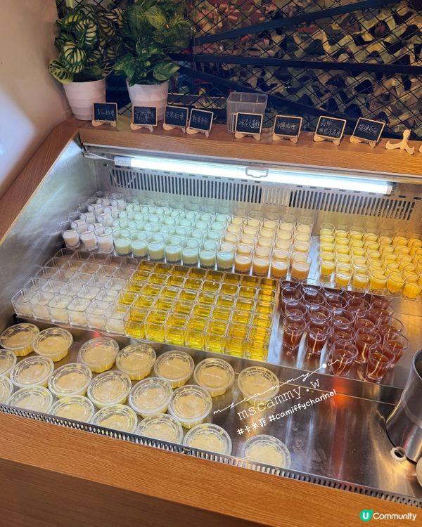 ❝卡米菲．放題❞【元朗】校長燒肉！肉肉獸衝呀！🤤 