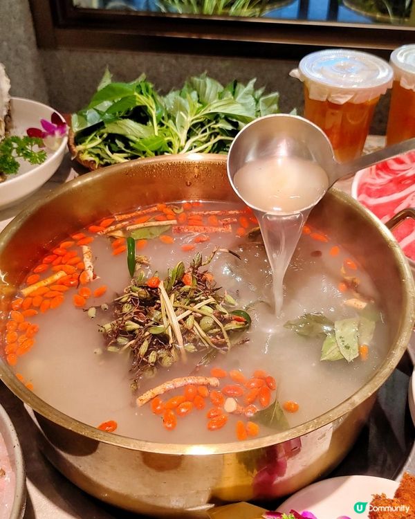 《人均100+吃到石橄欖鮮切雞煲》