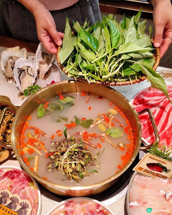 《人均100+吃到石橄欖鮮切雞煲》