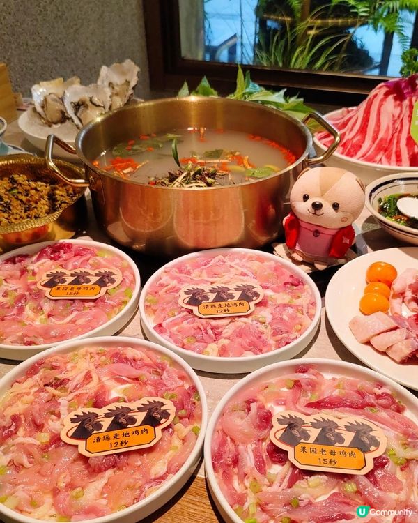 《人均100+吃到石橄欖鮮切雞煲》