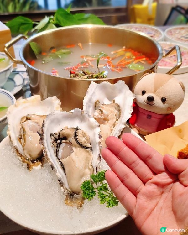 《人均100+吃到石橄欖鮮切雞煲》