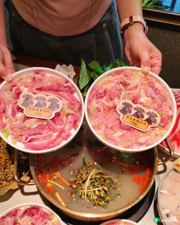 《人均100+吃到石橄欖鮮切雞煲》