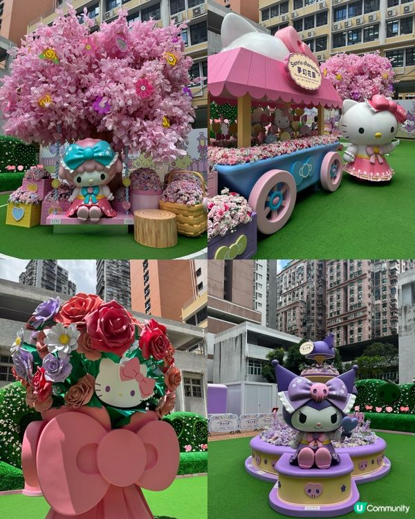 澳門打卡攻略！🚌📸 夢幻花園等你嚟！