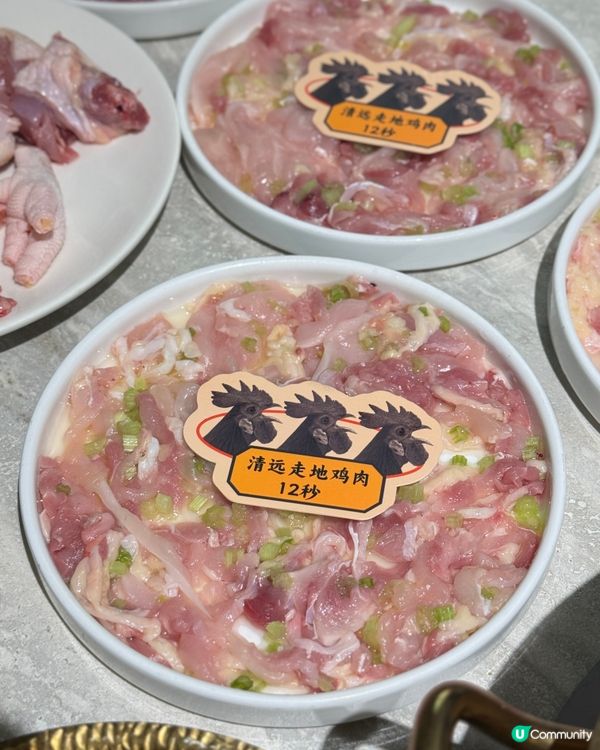 深圳雞煲邊爐🤤！石橄欖湯底超正！🐔🍲