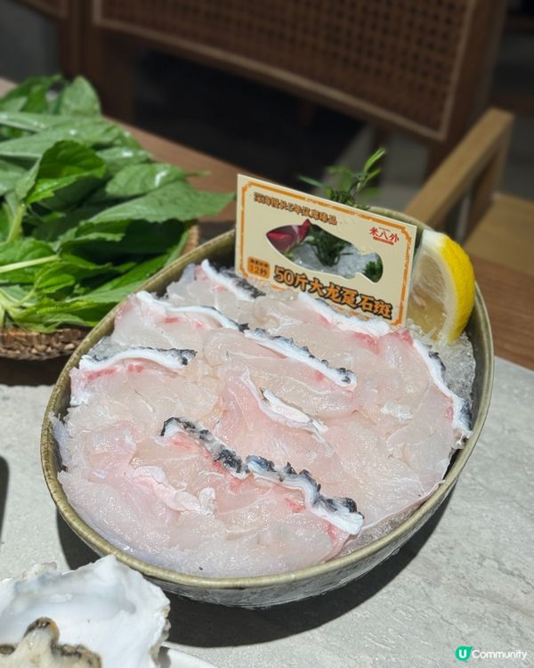 深圳雞煲邊爐🤤！石橄欖湯底超正！🐔🍲