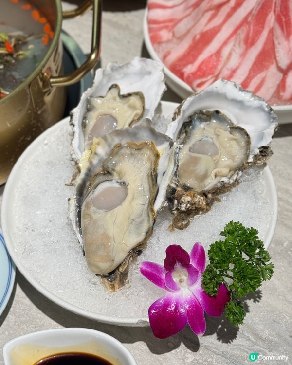 深圳雞煲邊爐🤤！石橄欖湯底超正！🐔🍲