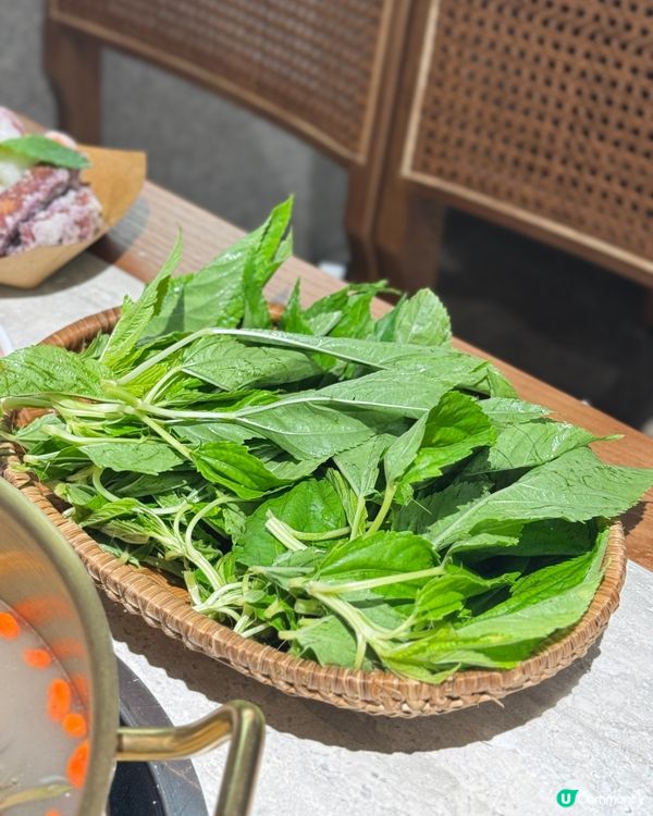 深圳雞煲邊爐🤤！石橄欖湯底超正！🐔🍲