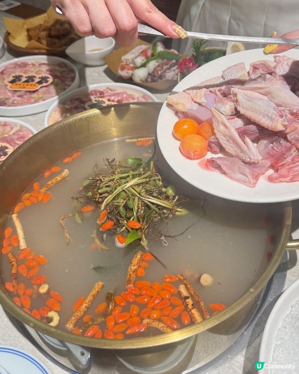 深圳雞煲邊爐🤤！石橄欖湯底超正！🐔🍲