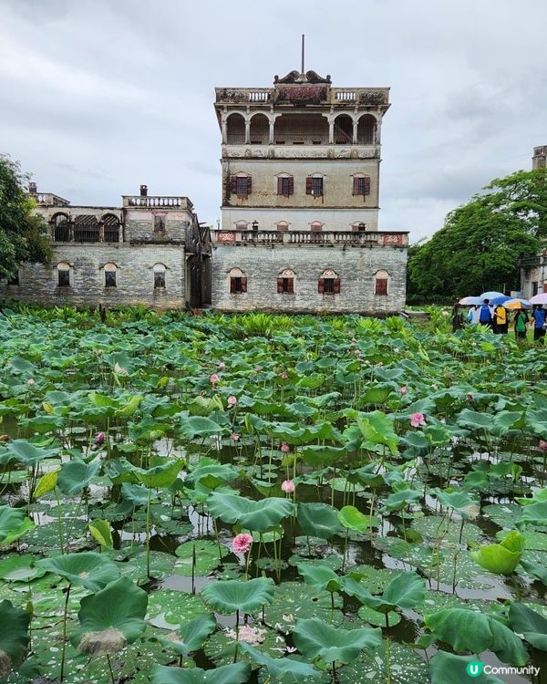 開平遊