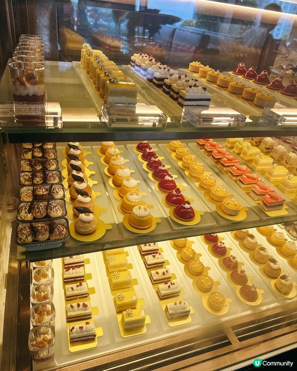 紅磡嘉里酒店自助餐🤤！維港靚景！