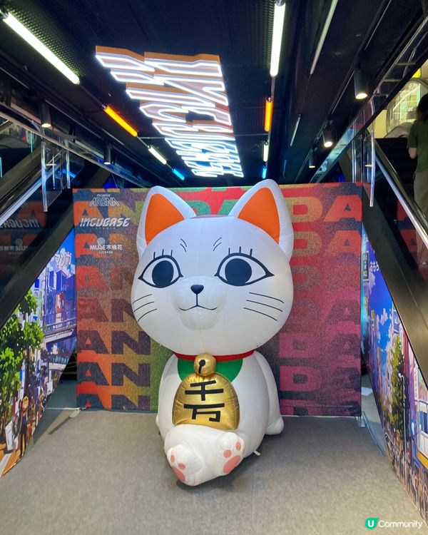 旺角尋找歡樂的日子