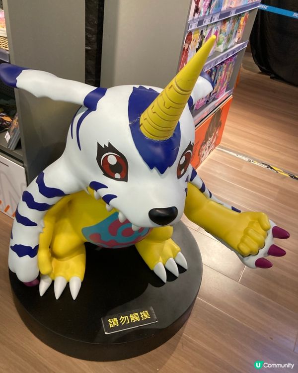 旺角尋找歡樂的日子