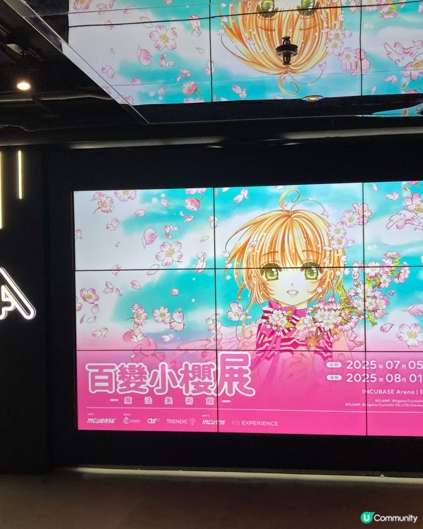 旺角尋找歡樂的日子