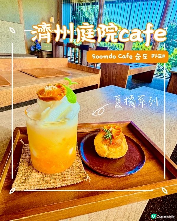 休閒濟州庭院🌿！特色夏橘特飲🍹！