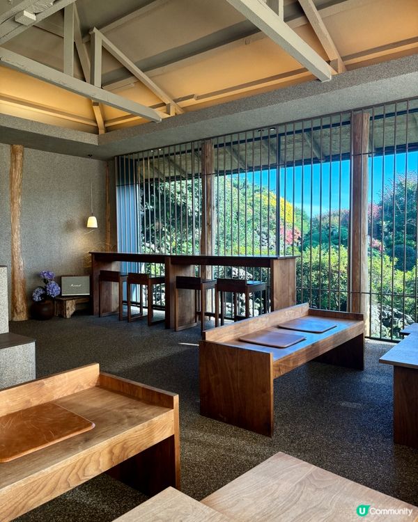 休閒濟州庭院🌿！特色夏橘特飲🍹！