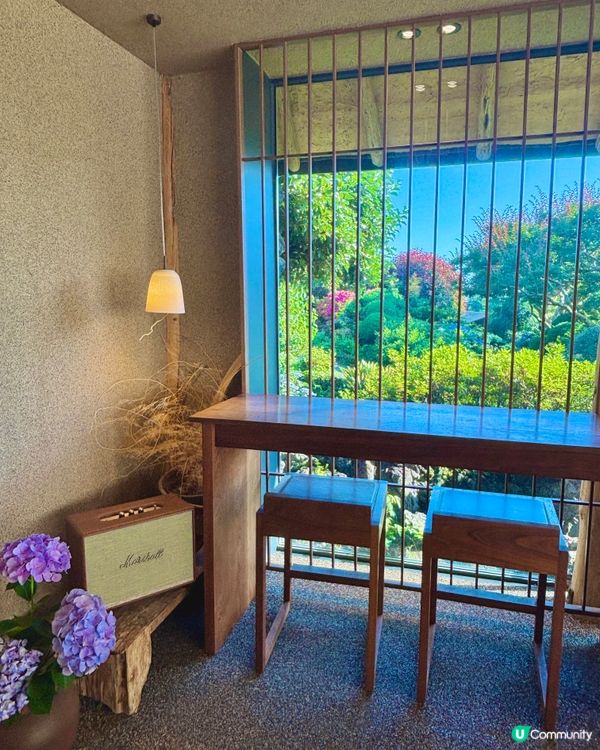 休閒濟州庭院🌿！特色夏橘特飲🍹！