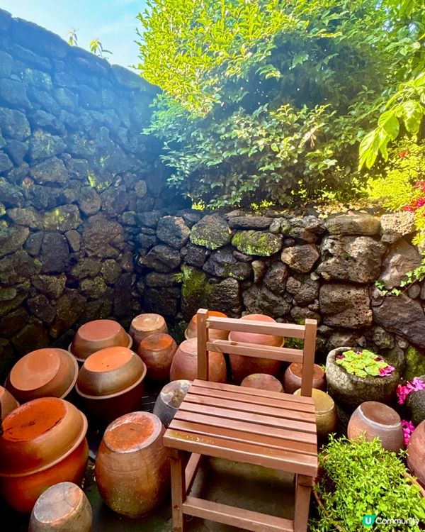 休閒濟州庭院🌿！特色夏橘特飲🍹！