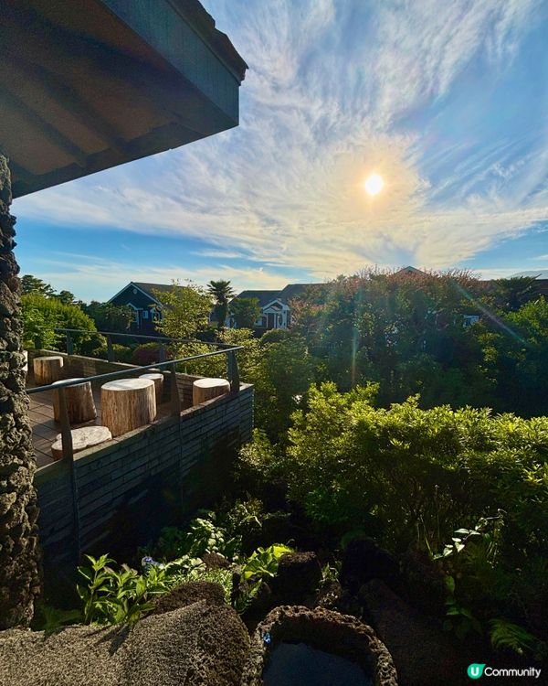 休閒濟州庭院🌿！特色夏橘特飲🍹！