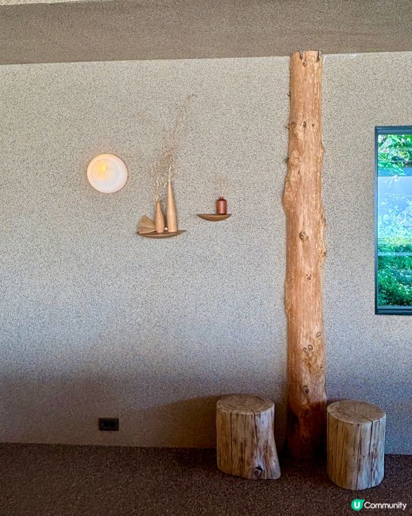 休閒濟州庭院🌿！特色夏橘特飲🍹！