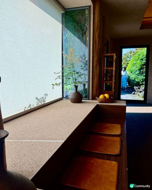 休閒濟州庭院🌿！特色夏橘特飲🍹！