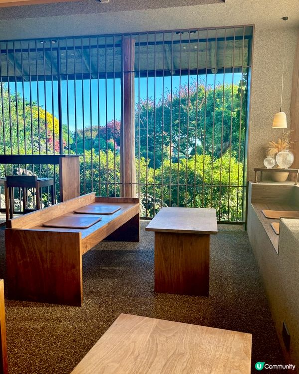 休閒濟州庭院🌿！特色夏橘特飲🍹！