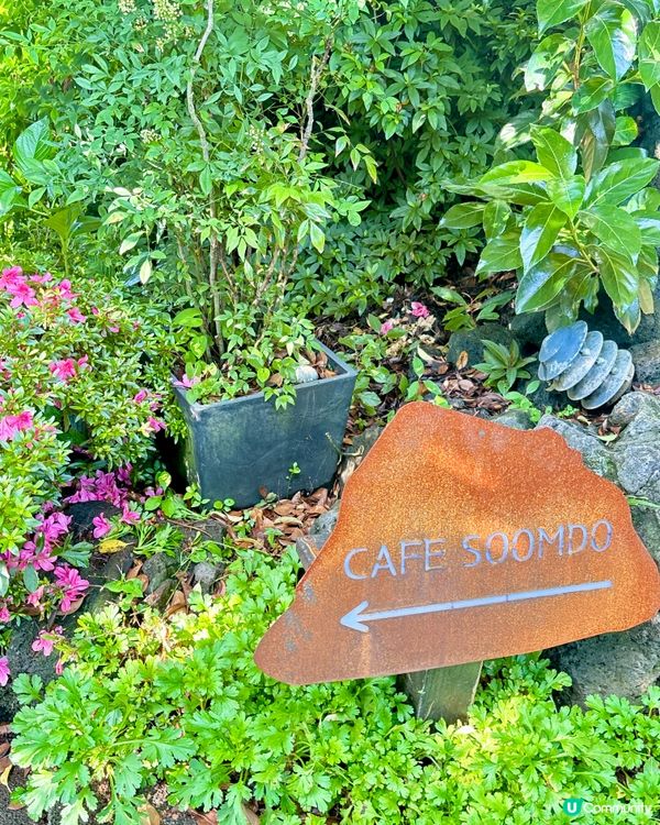休閒濟州庭院🌿！特色夏橘特飲🍹！