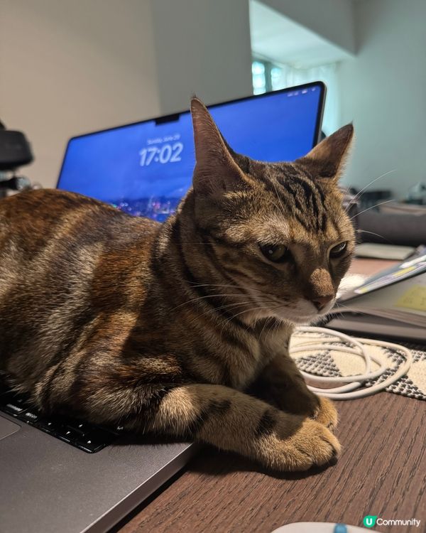 請不要用電腦🧑‍💻