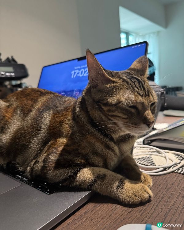 請不要用電腦🧑‍💻