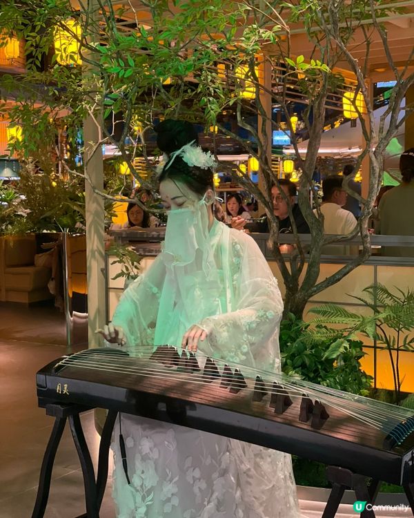 【#思思賢美食】黃竹坑綠茶🍵龍井問茶！😋