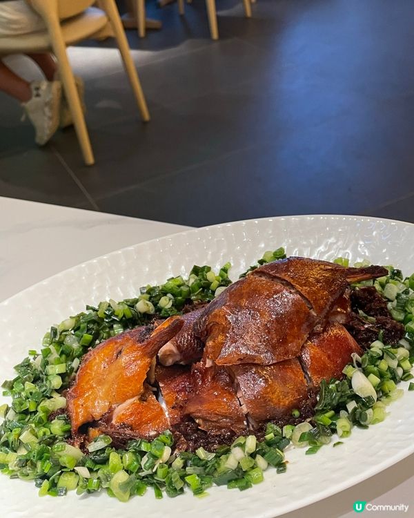 【#思思賢美食】黃竹坑綠茶🍵龍井問茶！😋