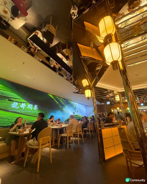 【#思思賢美食】黃竹坑綠茶🍵龍井問茶！😋