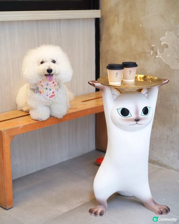 超高質酒香奶啡 店家對毛孩友善