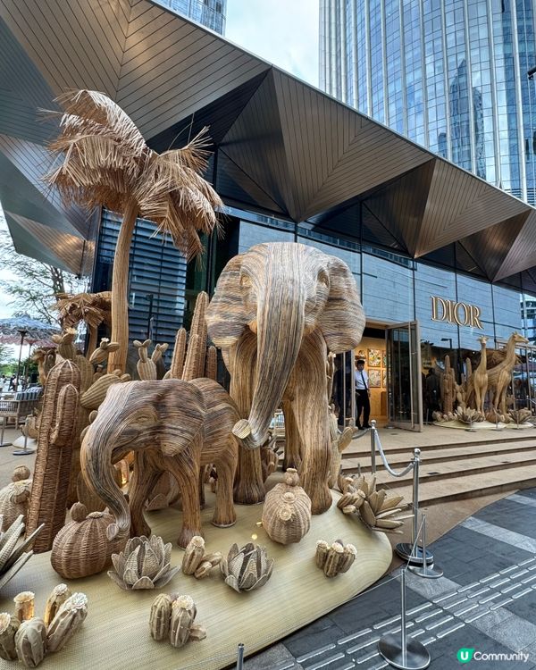 深圳Dior 度假風·打卡快閃店