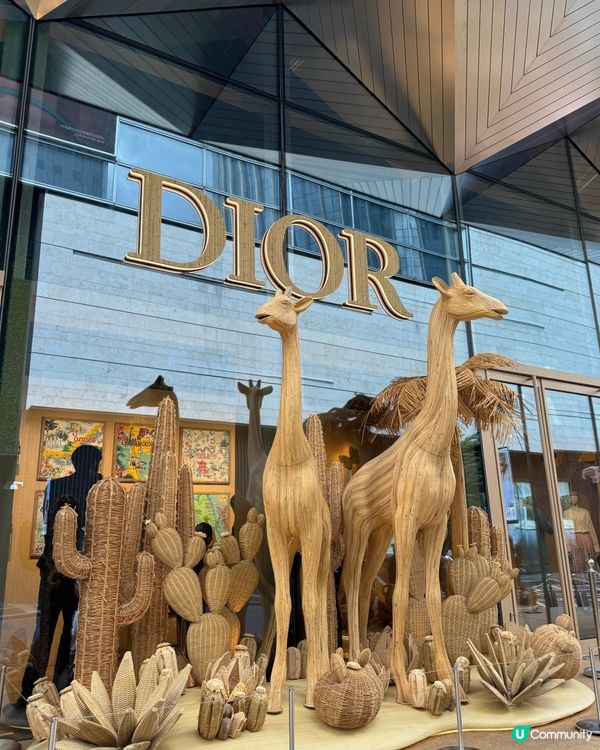 深圳Dior 度假風·打卡快閃店