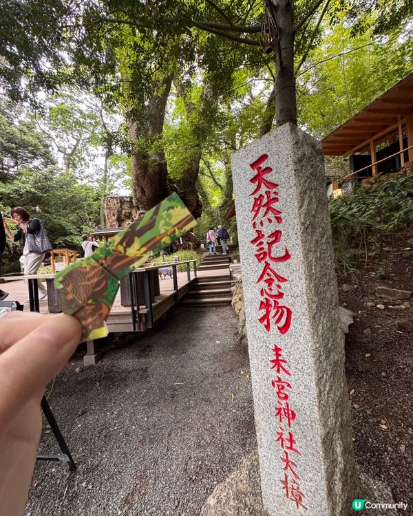 如果已經去過東京好多次，不妨去一吓近效嘅熱海，順道去《來宮神...