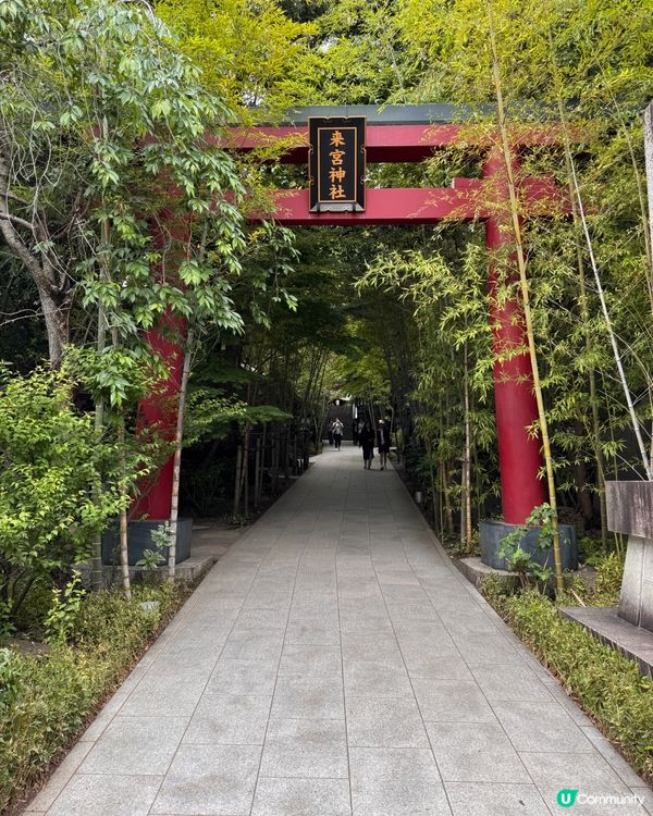 如果已經去過東京好多次，不妨去一吓近效嘅熱海，順道去《來宮神...