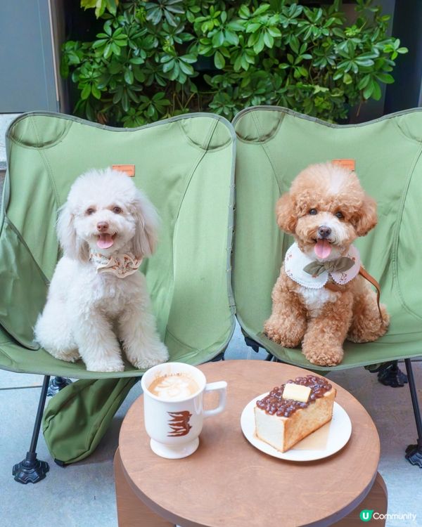 小清新🌿寵物友善日系Cafe探店☕️