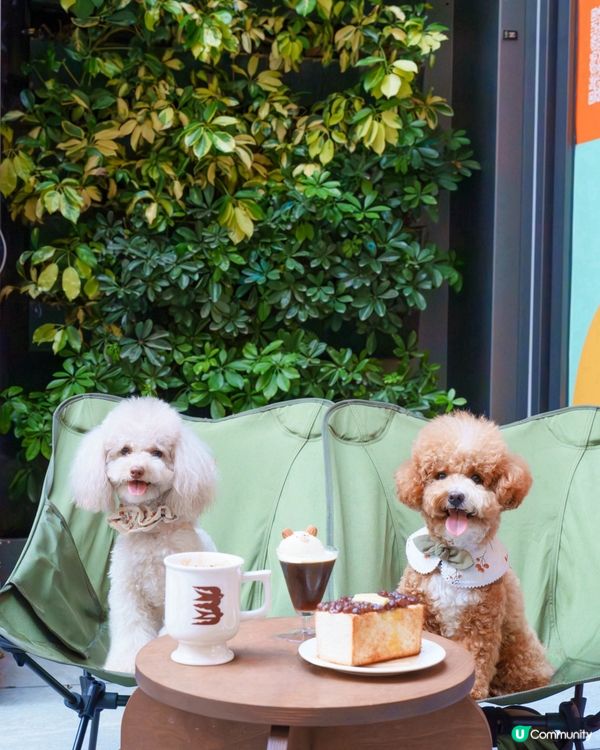 小清新🌿寵物友善日系Cafe探店☕️