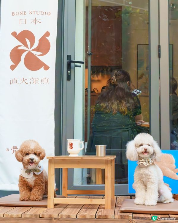 小清新🌿寵物友善日系Cafe探店☕️