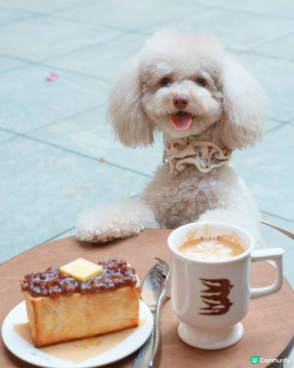呢間日式cafe超好影📸！