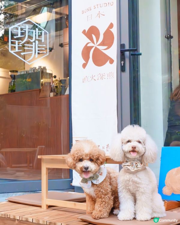 呢間日式cafe超好影📸！